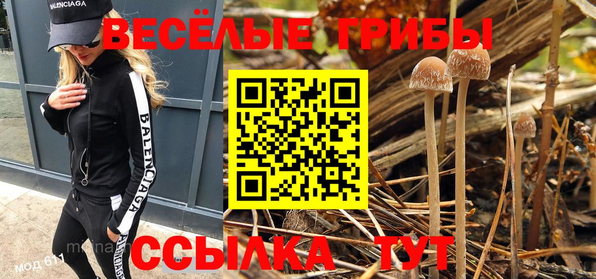 Галлюциногенные грибы GOLDEN TEACHER  Галлюциногенные грибы прущие грибы  Наро-Фоминск  Вход с VPN 